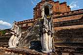 Chiang Mai - The Wat Chedi Luang. The massive chedi heavily damaged by an earthquake. The four staircases are protected by recentely restored guardian naga. 